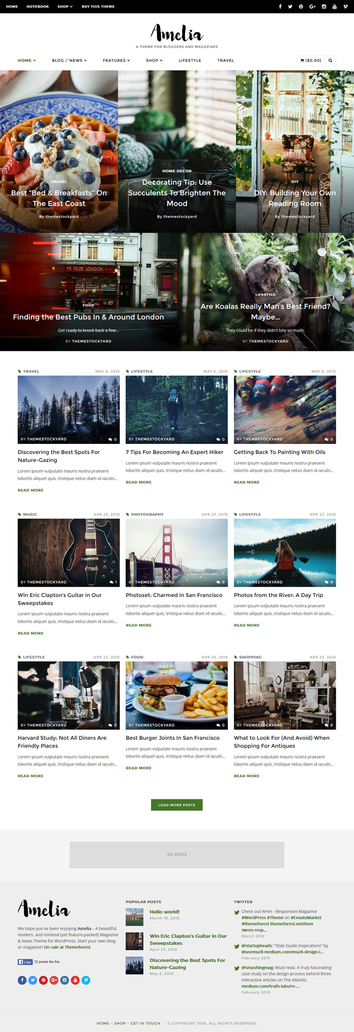 Amelia WordPress theme